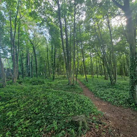 Osrodek Promenada- Horyzont * Jastrzębia Góra