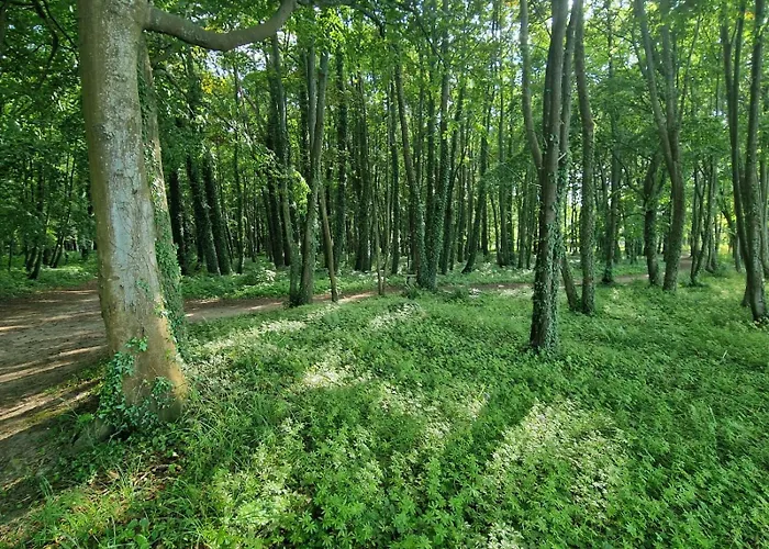 Osrodek Promenada- Horyzont