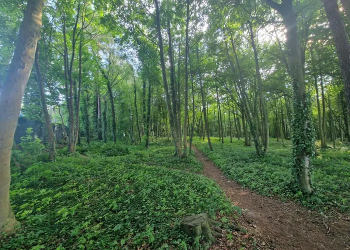 Osrodek Promenada- Horyzont * Jastrzębia Góra